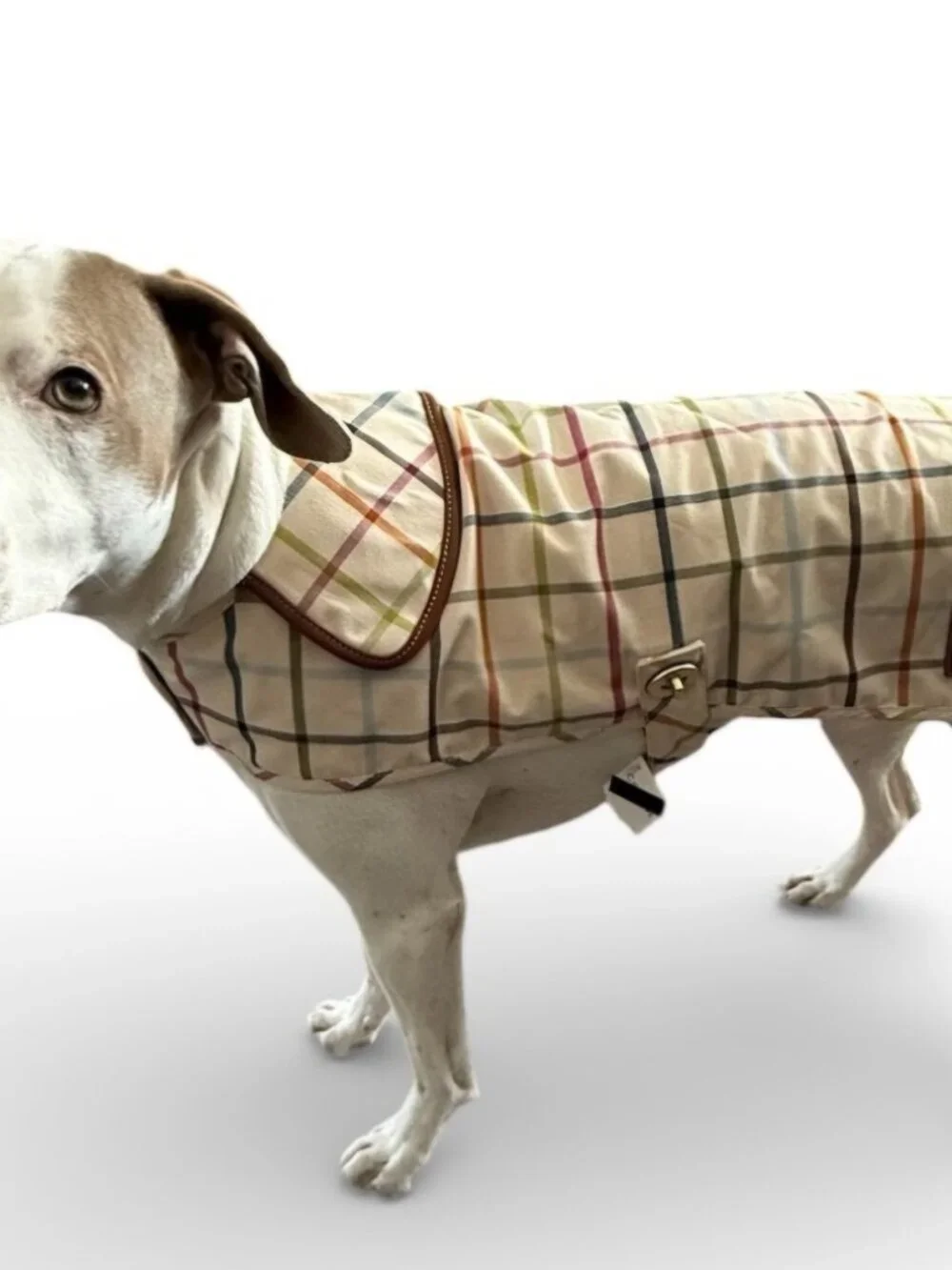 NWT Coach Tattersall Dog Jacket Coat Plaid Size small
